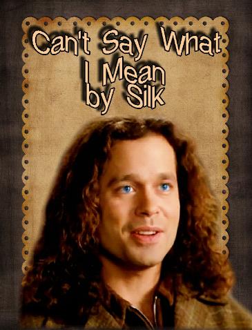 Can't Say What I Mean by Silk