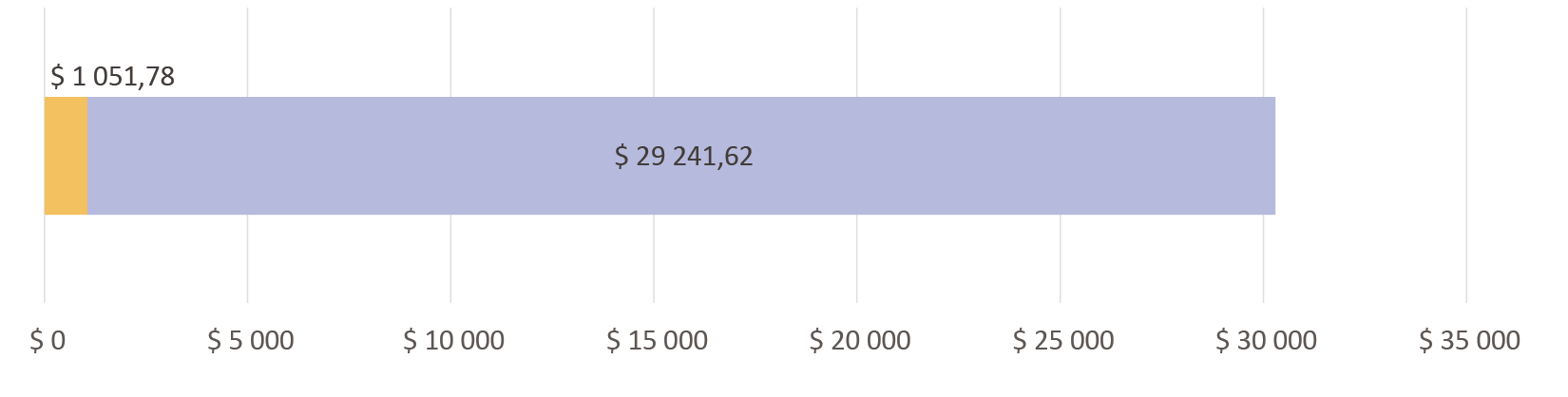 1051,78 доллар сарпталды; 29241,62 доллар калды
