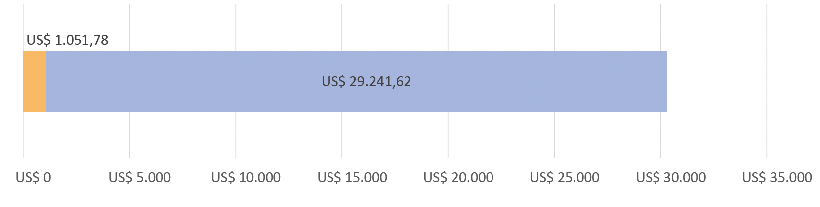 US$1.051,78 gastos; US$29.241,62 restantes